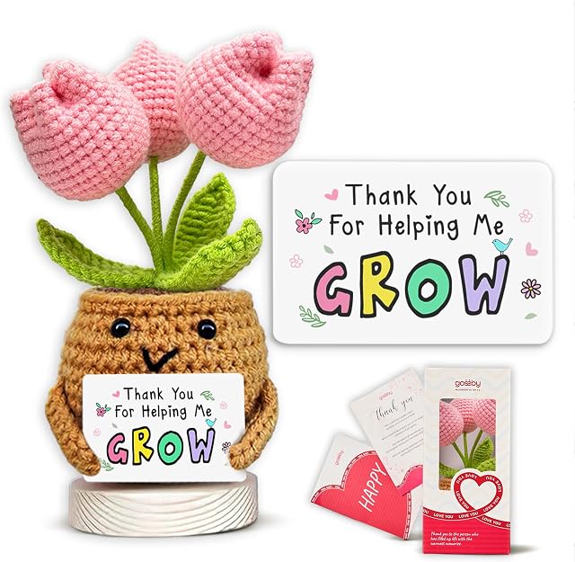 Crocheted Teacher Tulip