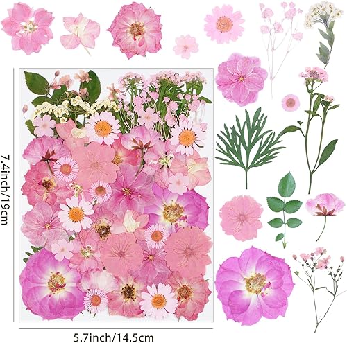 Vista 52 de 40 flores secas prensadas negras para manualidades, kit de flores secas Xinxinran para moldes de resina, accesorios de resina epoxi, marcador, uñas