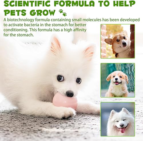 Miniatura 8 de Probiótico para perros, paquete de 2 gotas probióticas naturales 3 en 1 para perros que ayudan a aliviar la diarrea y malestar estomacal, apoya el