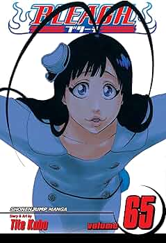 ブリーチ漫画 １～６５ 81sFFXSrW4L._AC_UF350,