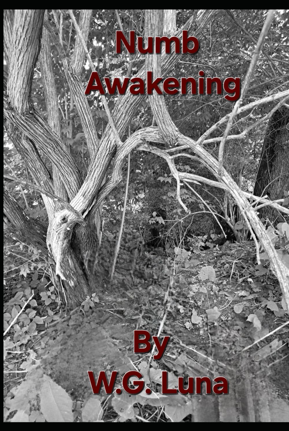 Numb Awakening