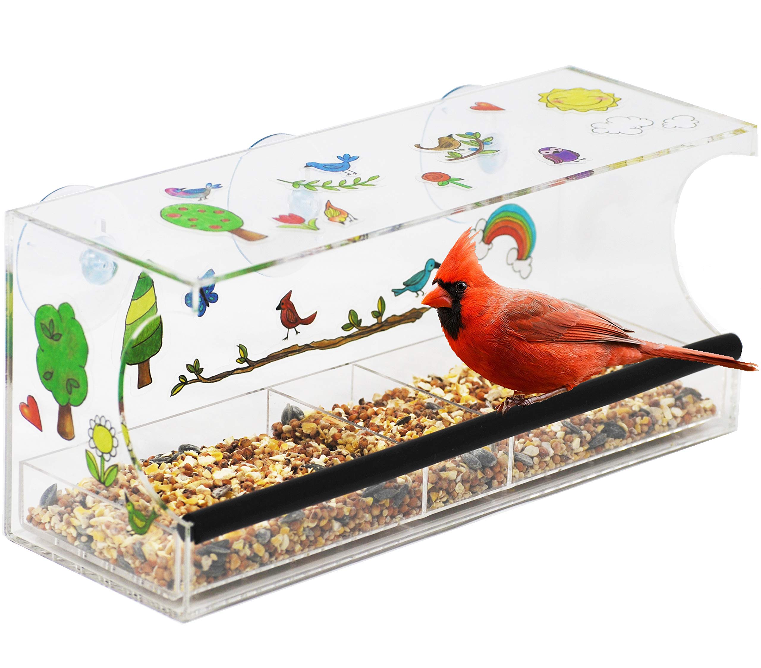 Hapinest Decorate Your Own Window Bird Feeder Kit - Gifts for Girls and Boys Ages 6 7 8 9 10 Years Old and Up