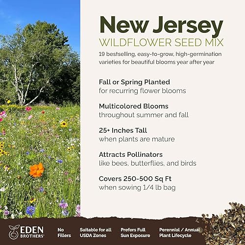 Miniatura 2 de Eden Brothers Semillas mixtas de flores silvestres de Nueva Jersey para plantar, 14 libras, más de 120,000 semillas con aciano, equinácea  Atrae