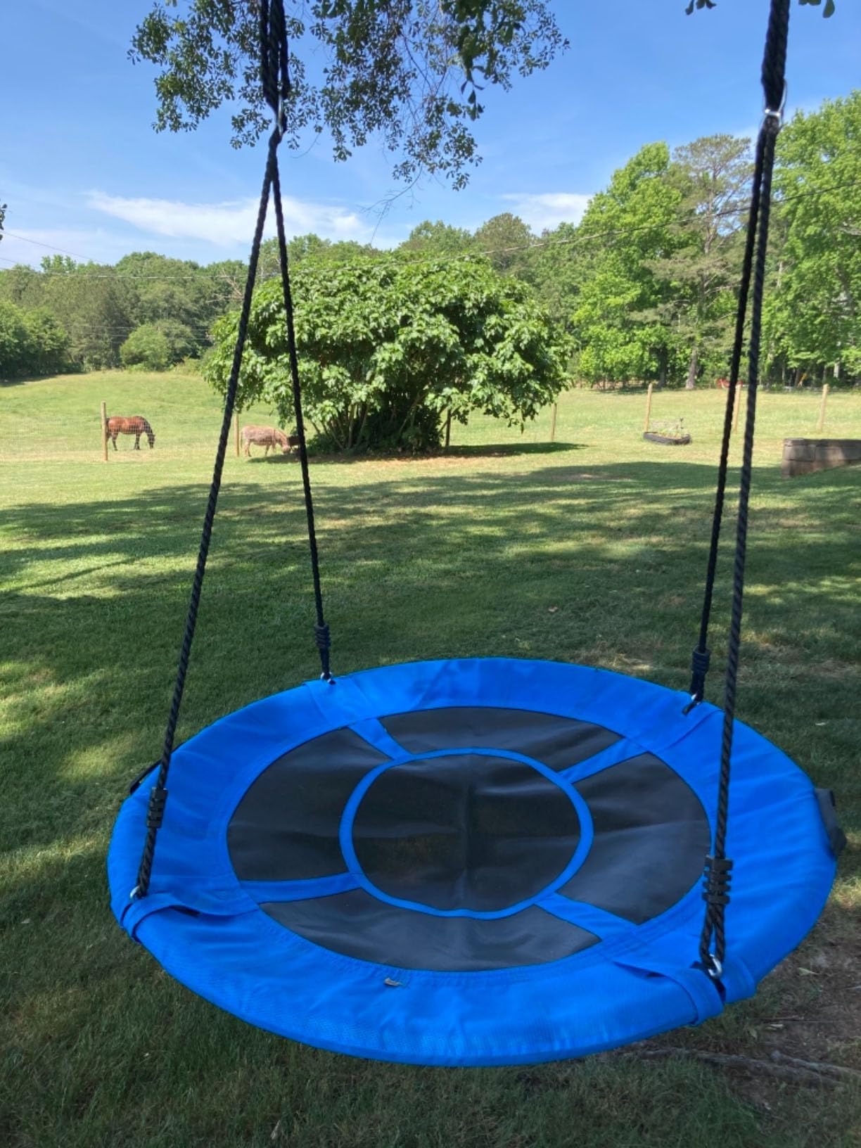 Columpio de Jardin para Niños, Capacidad Máxima 320 kg, Diámetro 100cm, Altura Ajustable, Columpio de Nido, Baloiço Infantil para Interior y Exterior, Fácil Instalación, Azúl