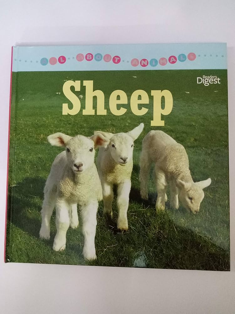 Amazon.co.jp: Sheep : 本