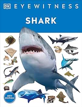 Curiosity疾風迅雷オーバードーズovesdose Sharkオプション多