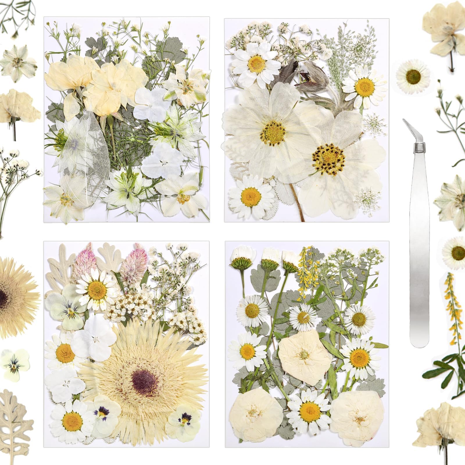 Dried Flowers for Resin