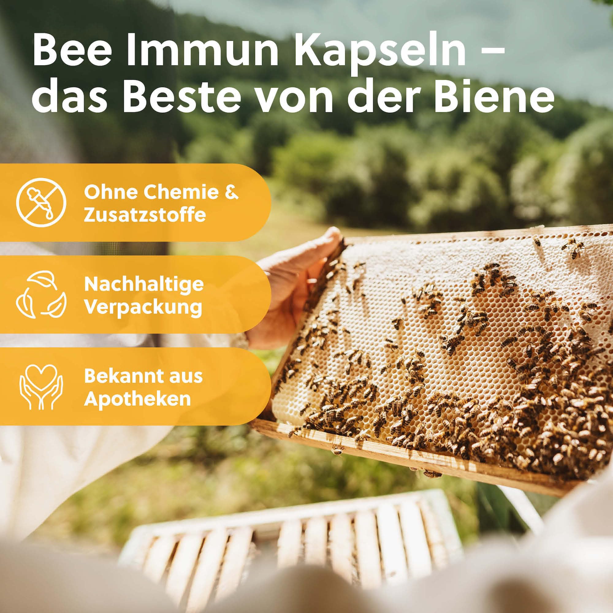 beegut BIO bee Immun Komplex – 150 Kapseln mit Propolis, Echinacea, Vitamin C (Acerola), Hagebutte, Reishi & Gelee Royal – mit Vitamin C für dein Immunsystem* & tägliche Ernährung