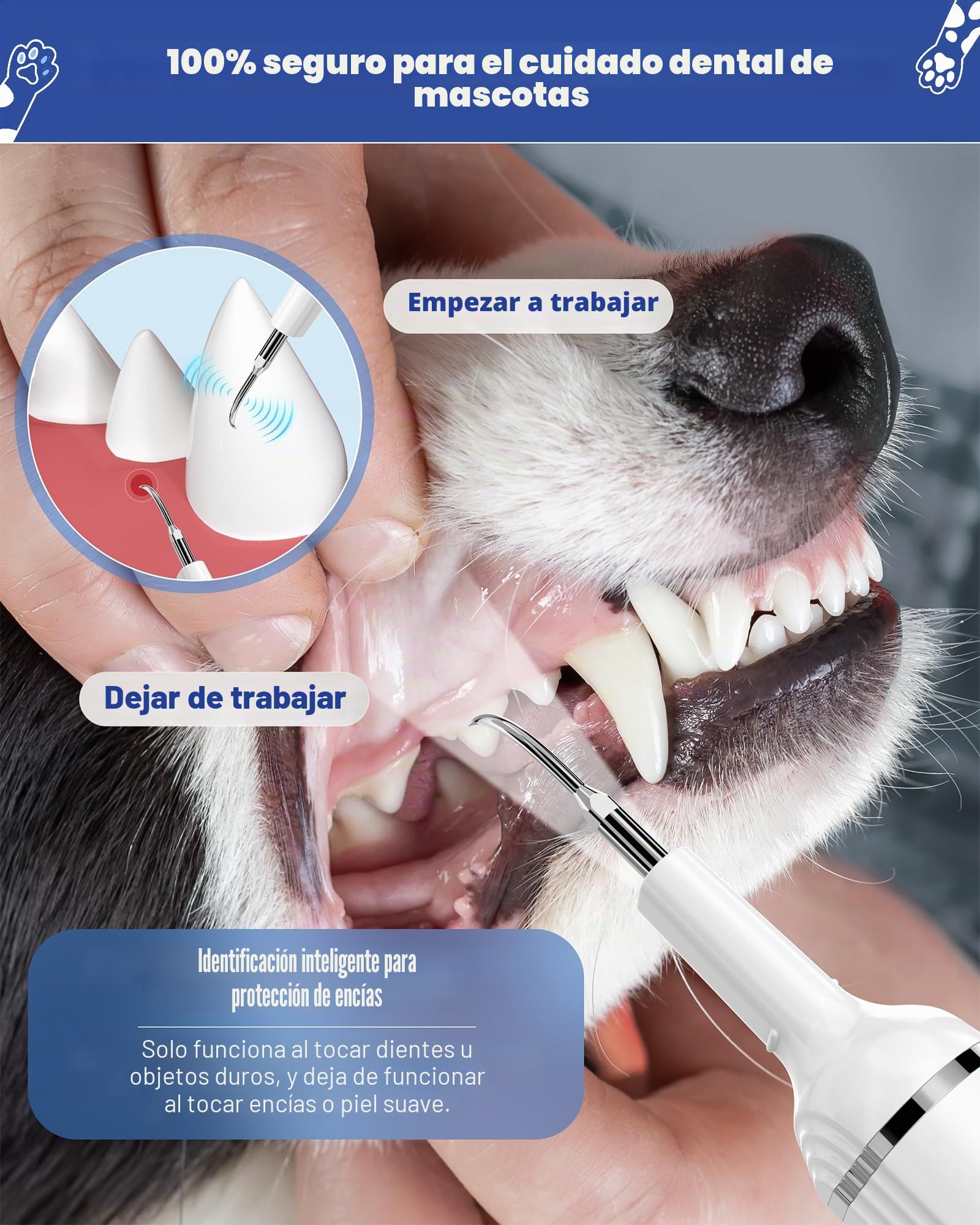 NATURE NERDS Removedor de placa para dientes, kit de cepillado de dientes de mascotas, herramientas dentales para eliminar placa y sarro, seguro para perros y gatos, con luz LED, color blanco