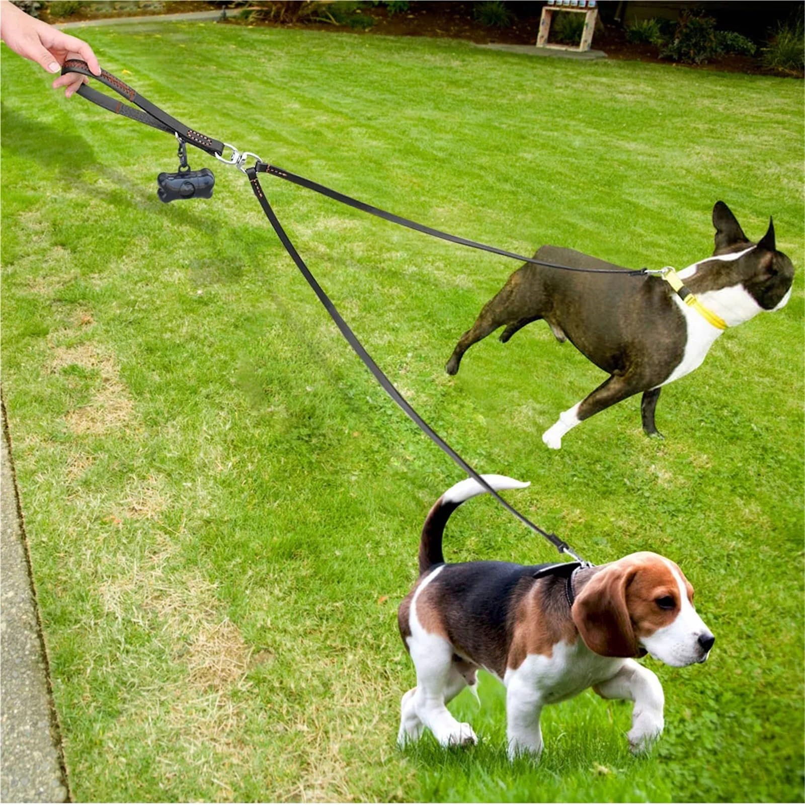 Laisse pour chien 2 voies double en cuir pour animal domestique avec coupleur anti-nœuds avec poignée pour la marche et le dressage de 2 chiens de petite et moyenne taille (noir)