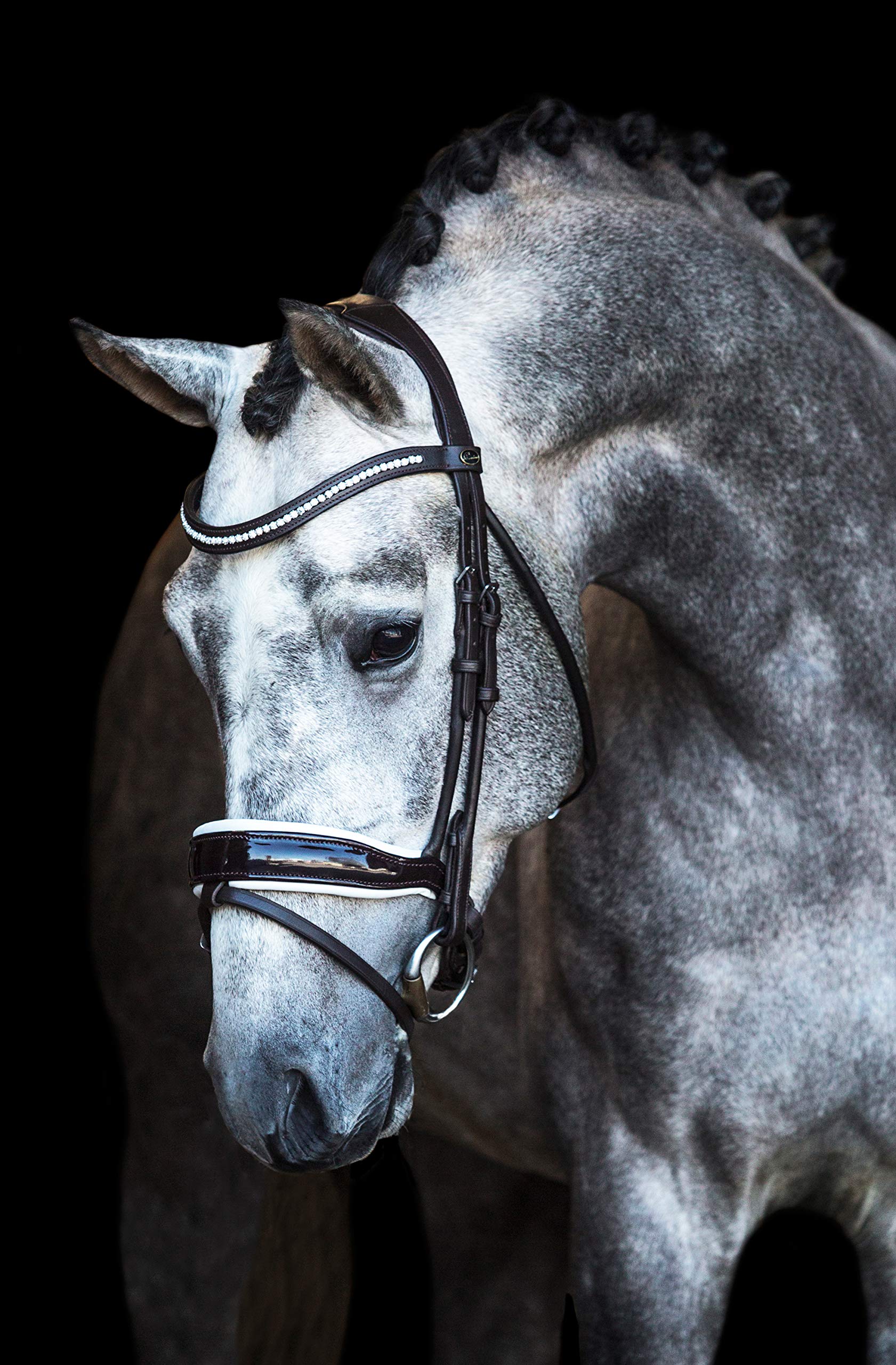 Bridon anatomique Verona Premiera marron blanc pour supprimer les pressions du cheval