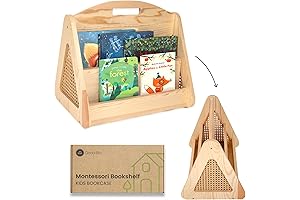 Double-Sided, Montessori-Inspired Bookshelf for Curious Young Minds