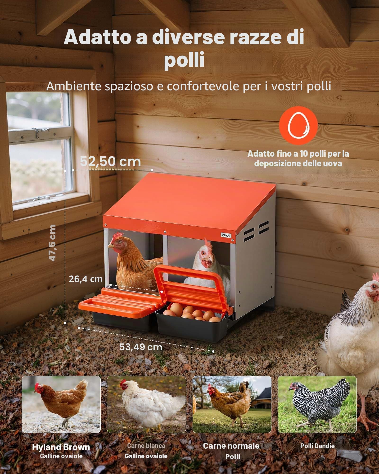 VEVOR Nido con Cassetto di Raccolta Uova per Galline 2 Scomparti con Gambe di Supporto, Facile Raccolta, Acciaio Zincato e Plastica ad Alta Resistenza, Nido per Deposizione di Uova di Gallina