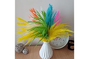 Mixed Pampas Grass Decor: Color Your Living Room