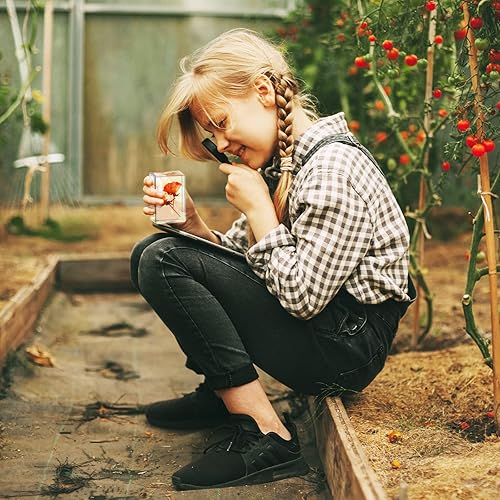 Miniatura 6 de 6 piezas de flores prensadas de pisapapeles en resina colección de muestras para escritorio, muestras de flores reales, pesos de papel, cubo