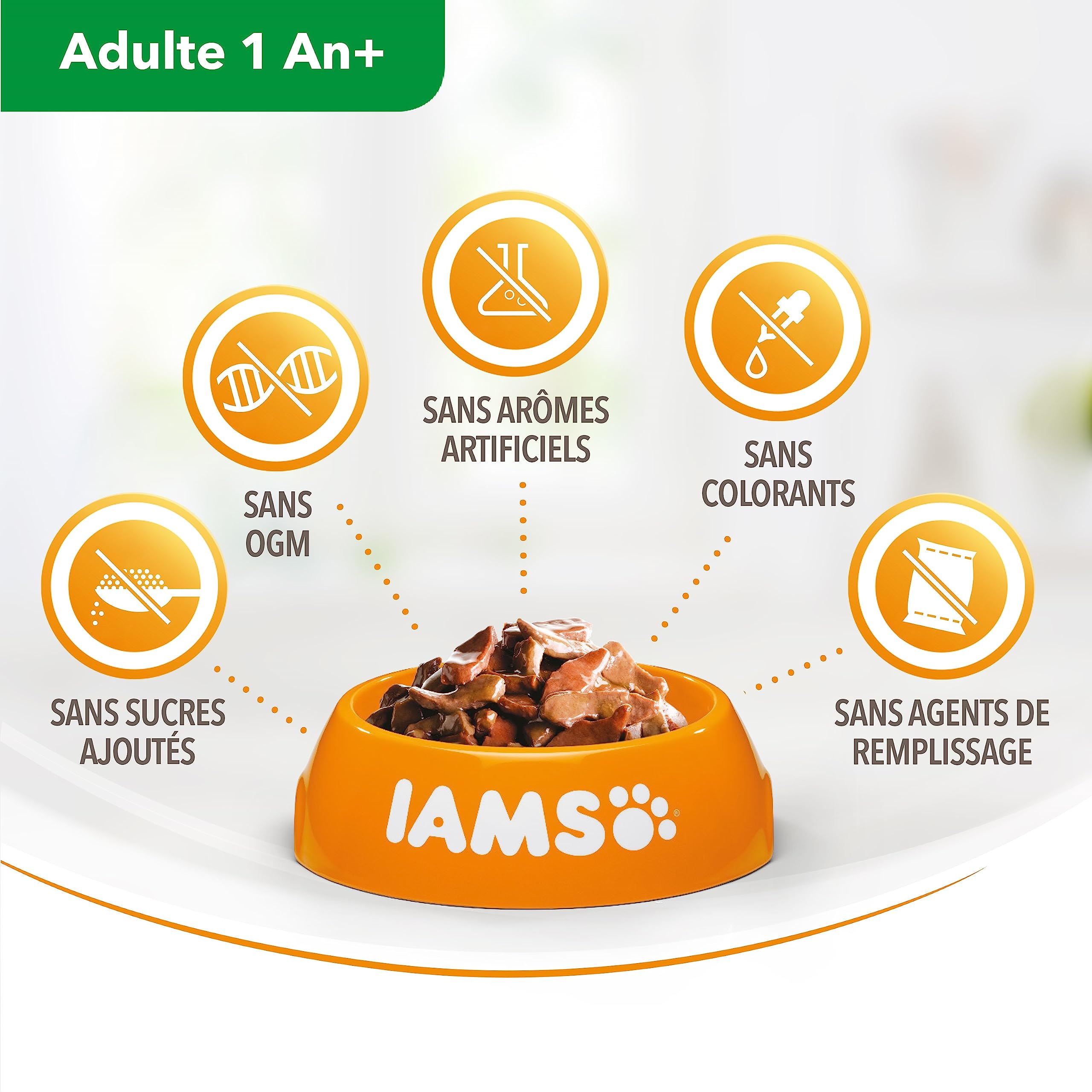 IAMS Chat Adulte Nourriture Humide en gelée Terre&Mer Land&Sea Collection 12 sachets x 85g