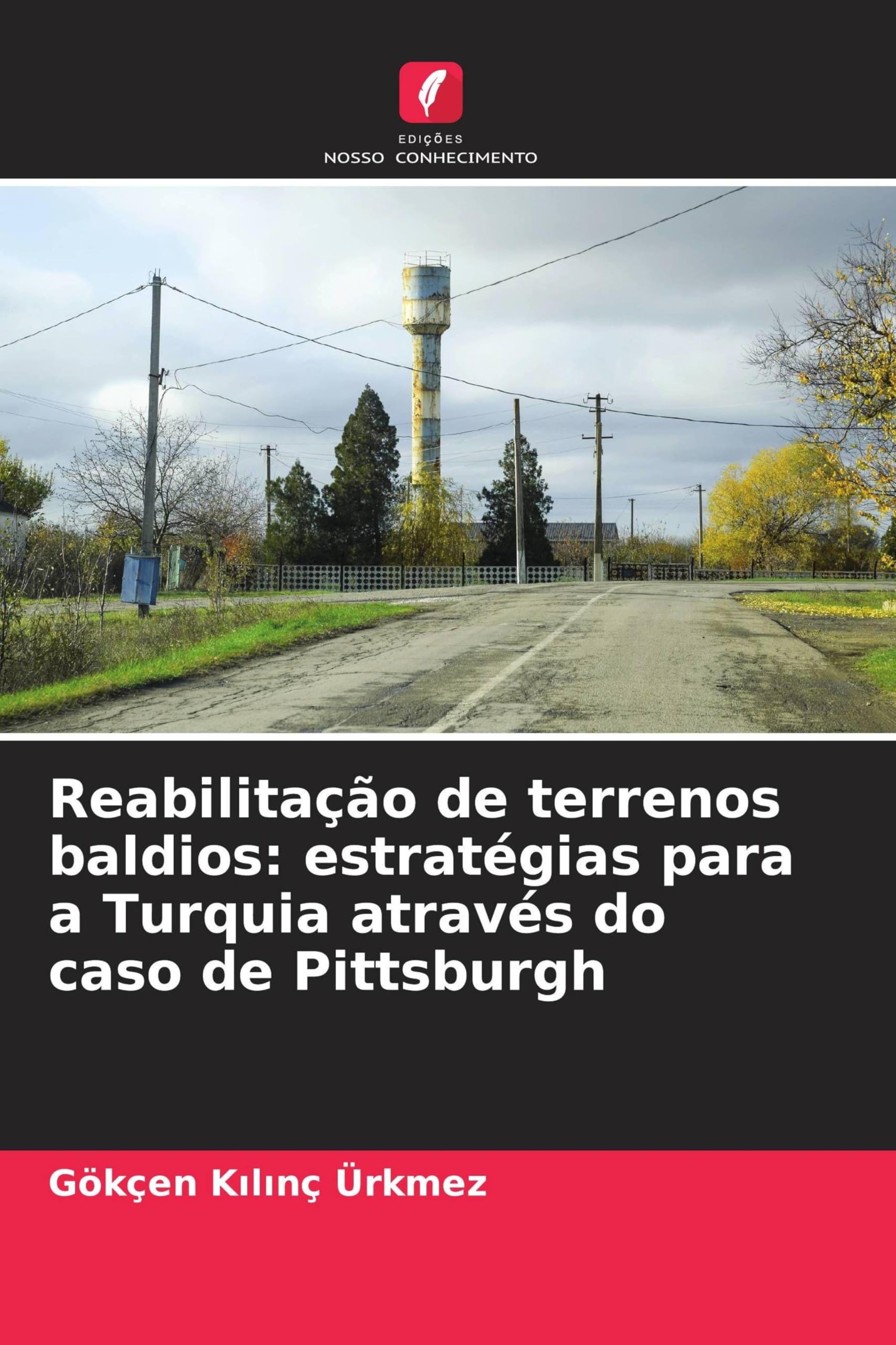 Reabilitação de terrenos baldios: estratégias para a Turquia através do caso de Pittsburgh