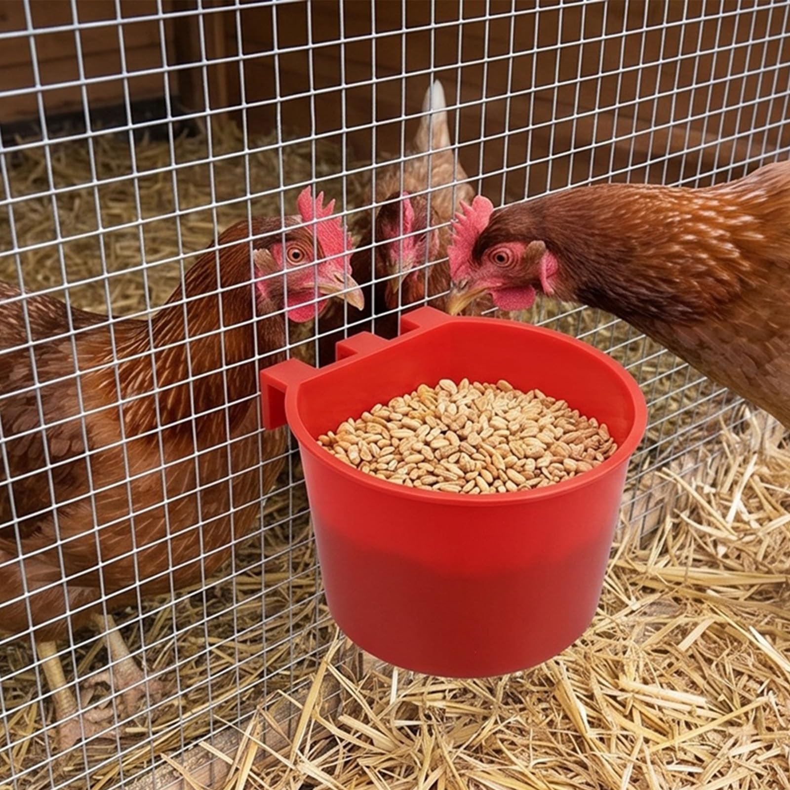 Lot de 50 mangeoires rouges à suspendre pour oiseaux, poules et petites créatures