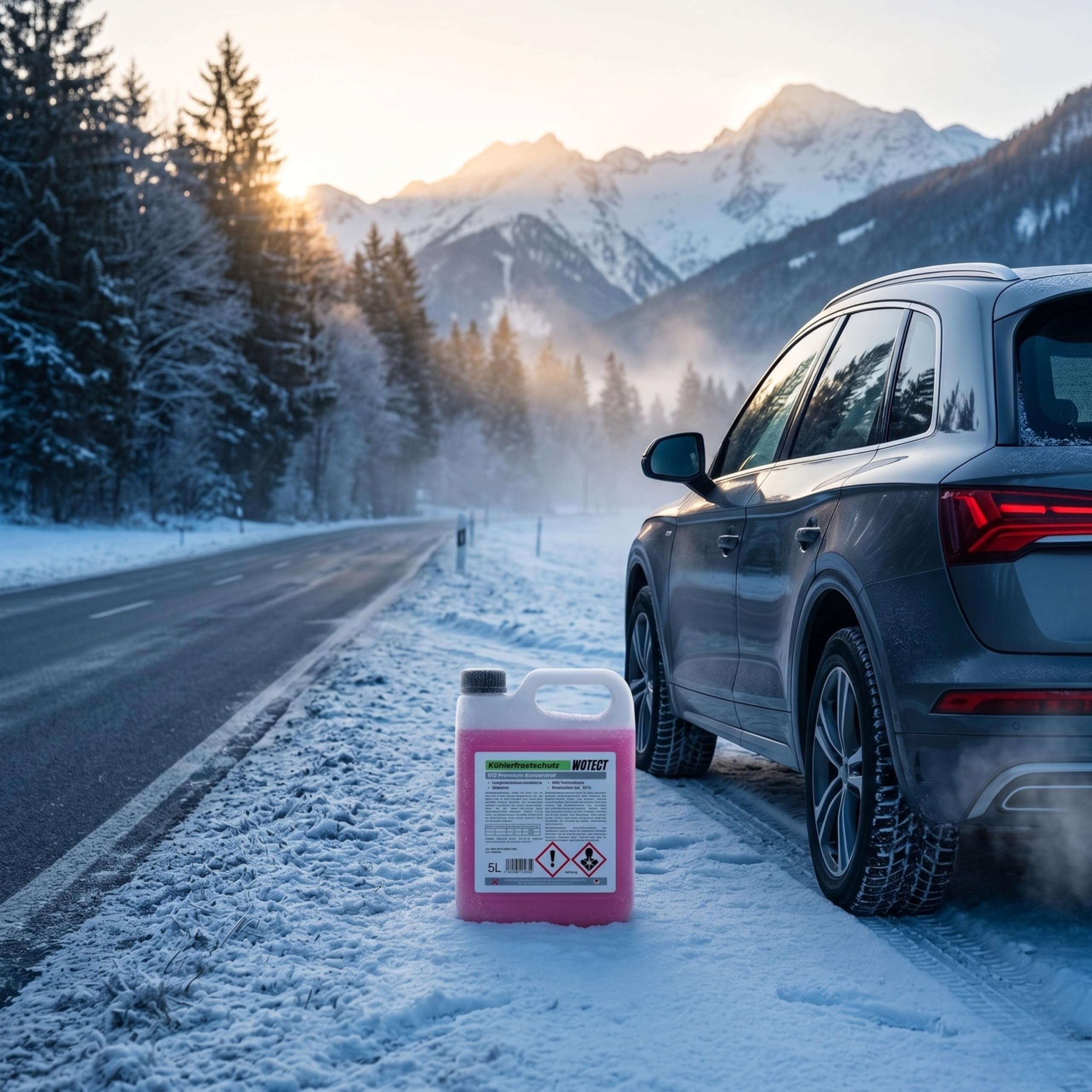 WOTECT 20L Kühlerfrostschutz Konzentrat G12 – Silikatfrei & Glycerinfrei – Rot/Rosa – Für PKW, LKW & Maschinen – Bis -35°C Frostschutz