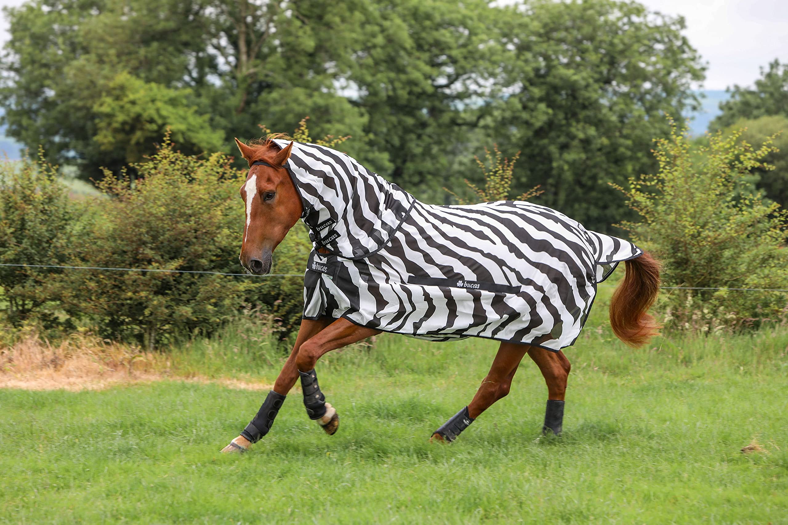 Bucas Buzz-Off Fliegendecke Zebra Full-Neck, 140