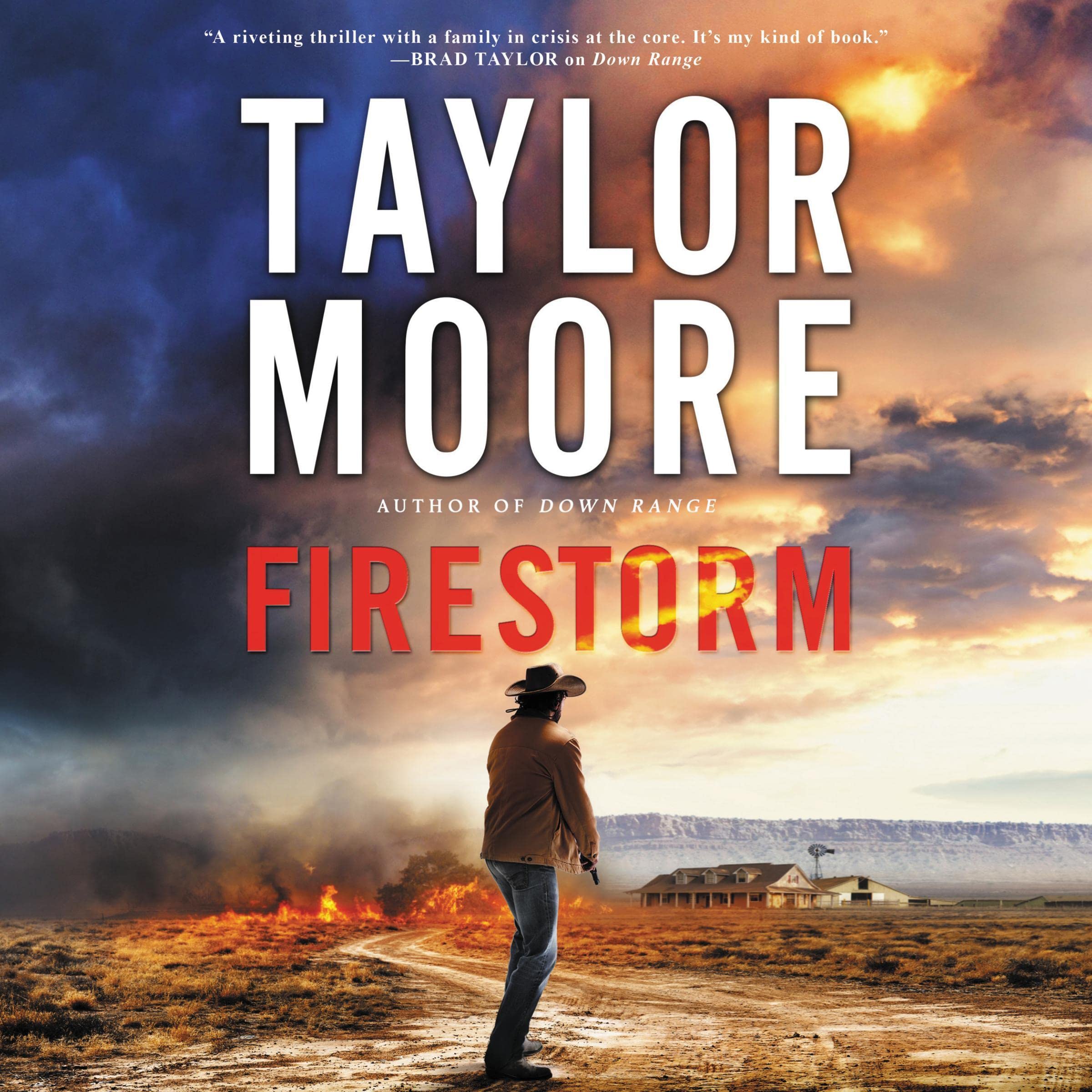 Cover art for Firestorm