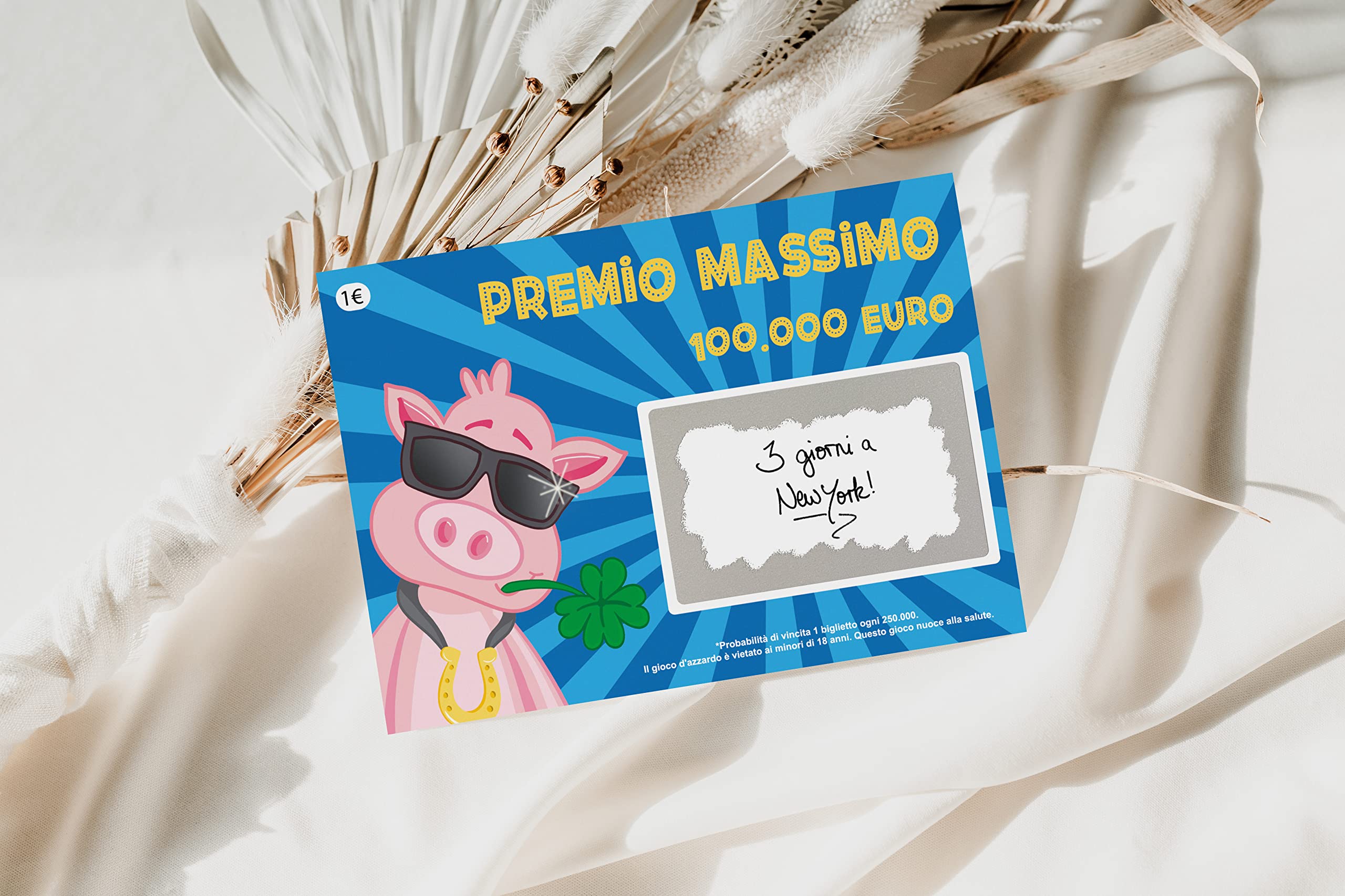 Joli Coon 5 Gratta e vinci scherzo 100.000 - Gratta e vinci personalizzato - Gratta e vinci scherzo