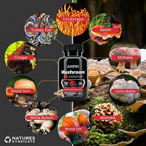 Miniatura 6 de Suplemento de complejo de hongos nootrópico cerebral natural para el bienestar cognitivo, claridad, enfoque, memoria y apoyo al sistema