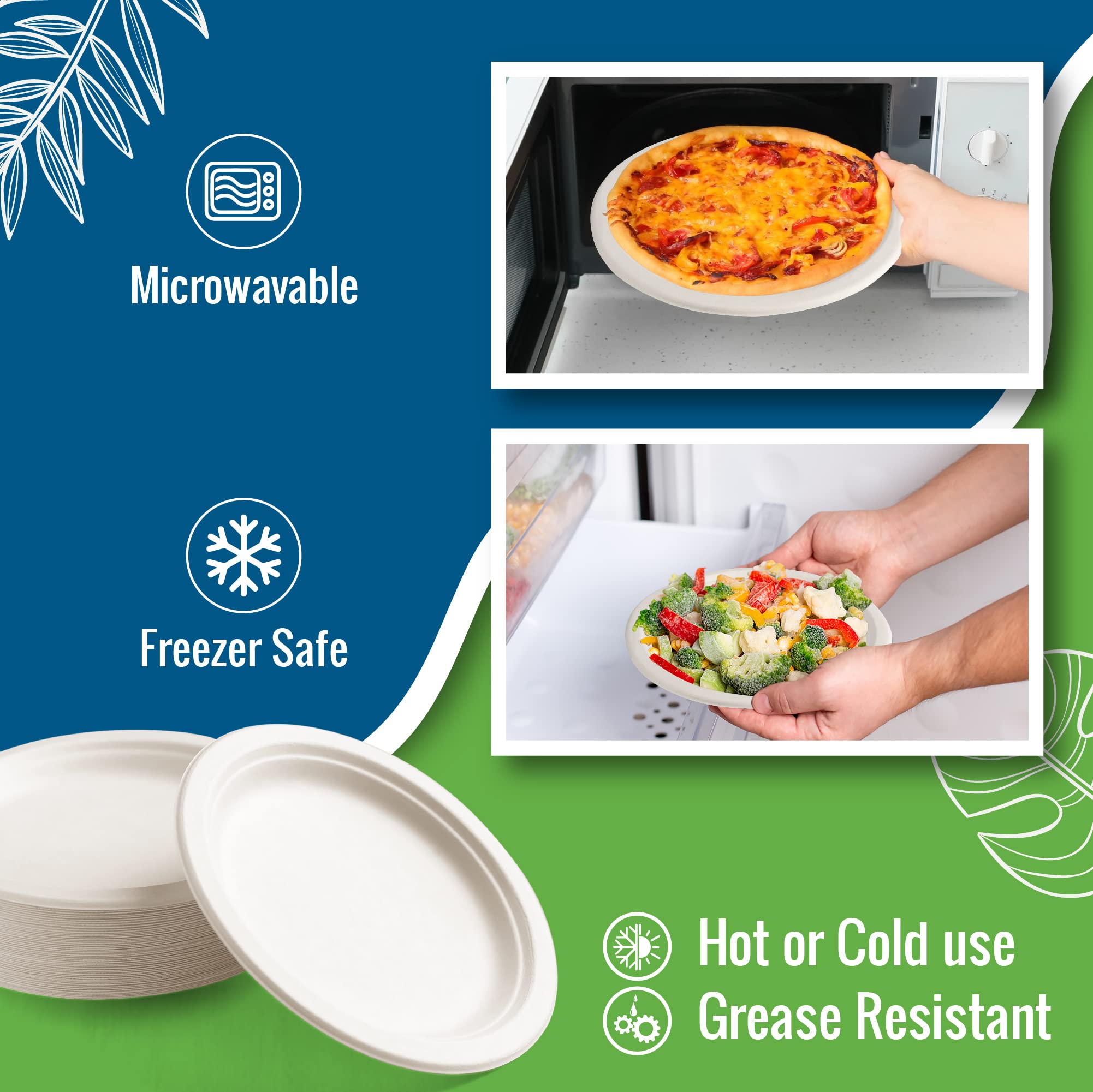 Platos de papel blanco, 10 pulgadas, 150 unidades, fibra de caña de azúcar de grado alimenticio, compostables y biodegradables, aptos para microondas, resistentes al calor y al frío, platos