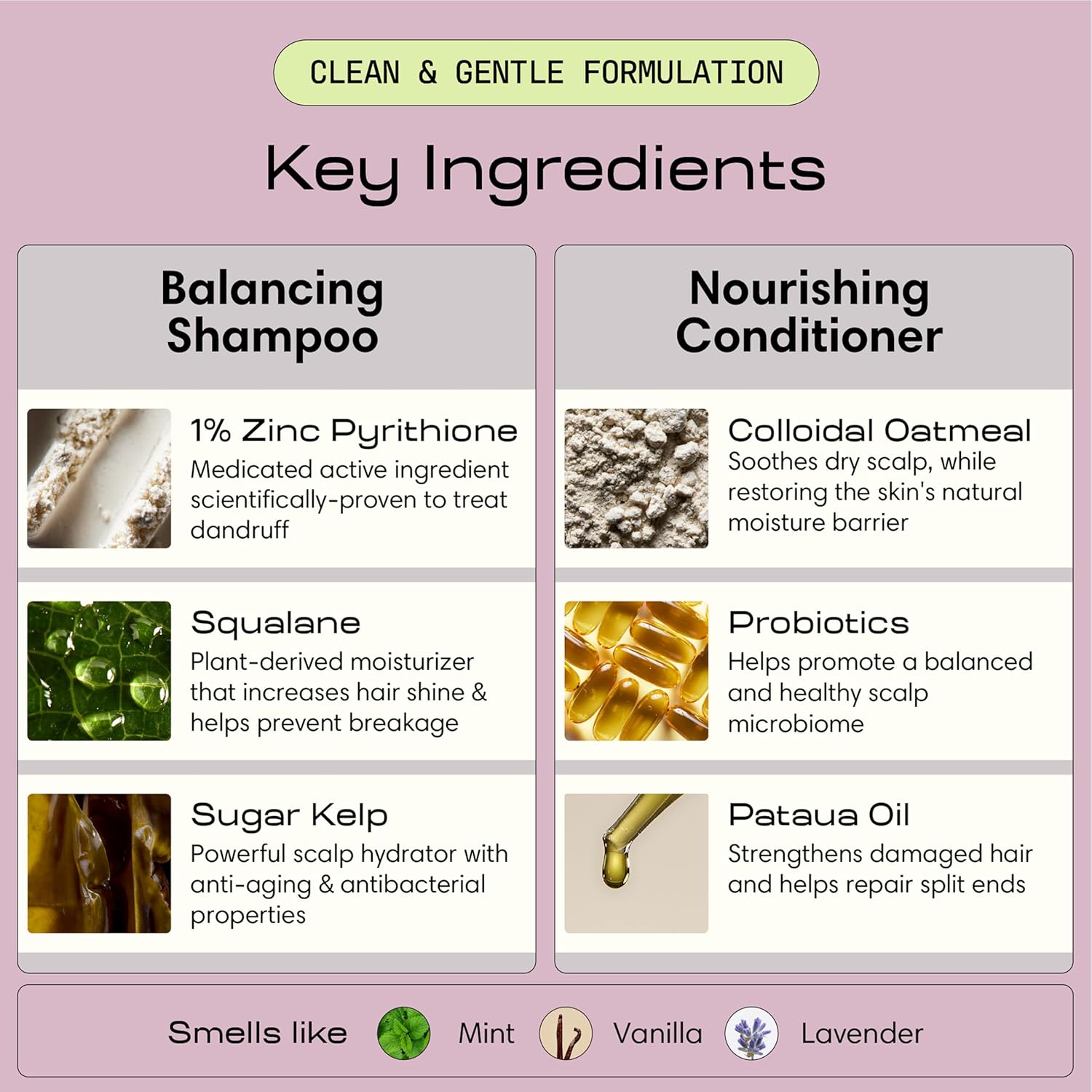 Jupiter Anti Dandruff Shampoo & Conditioner for Men & Women for Flaky, Itchy, Oily & Dry Scalp - Nourishes Scalp and Reduces Breakage & Flakes - Color-Safe, Sulfate-Free, Paraben-Free