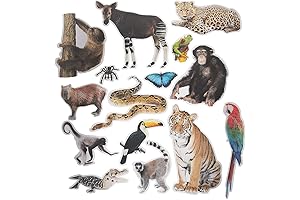 Fun Express Jumbo Realistic Rainforest Cutouts: Call to the Jungle