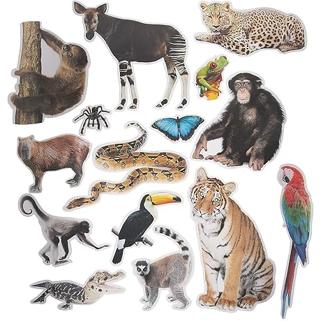 Fun Express Jumbo Realistic Rainforest Cutouts: Call to the Jungle