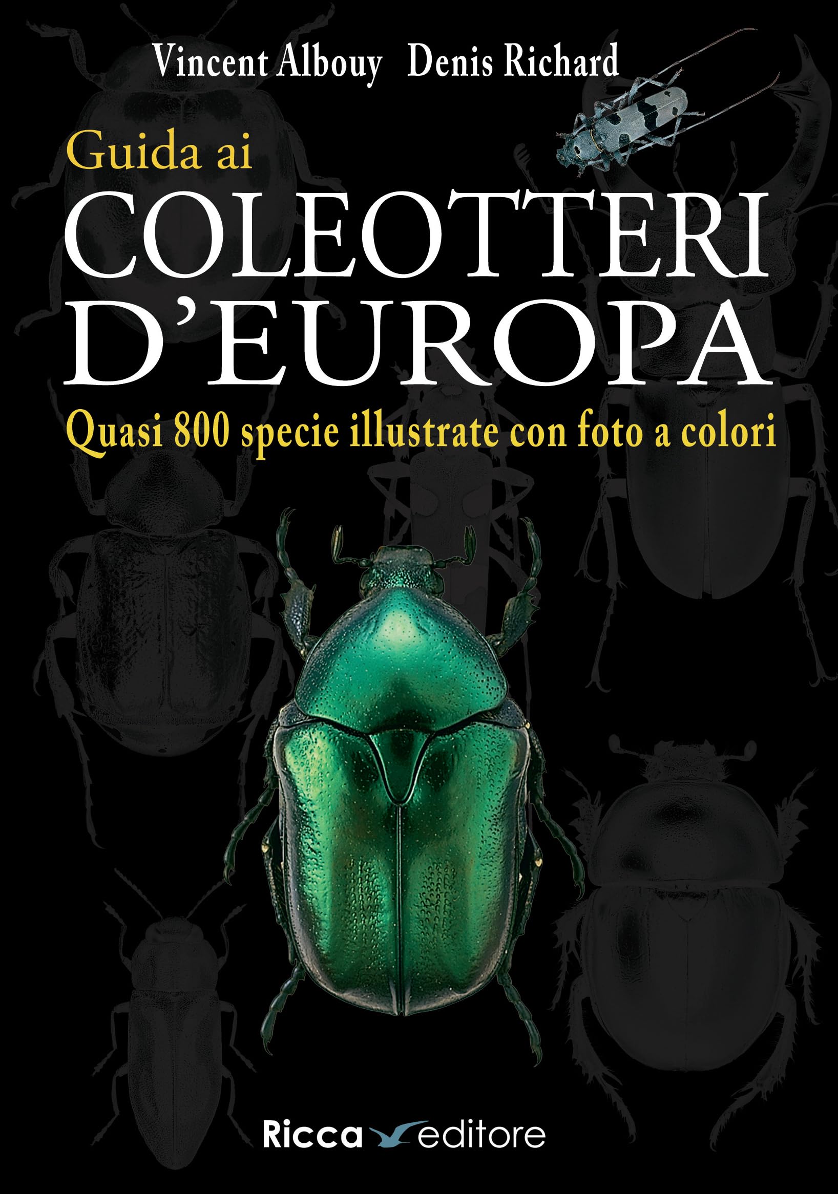 Guida ai coleotteri d'Europa. Ediz. a colori