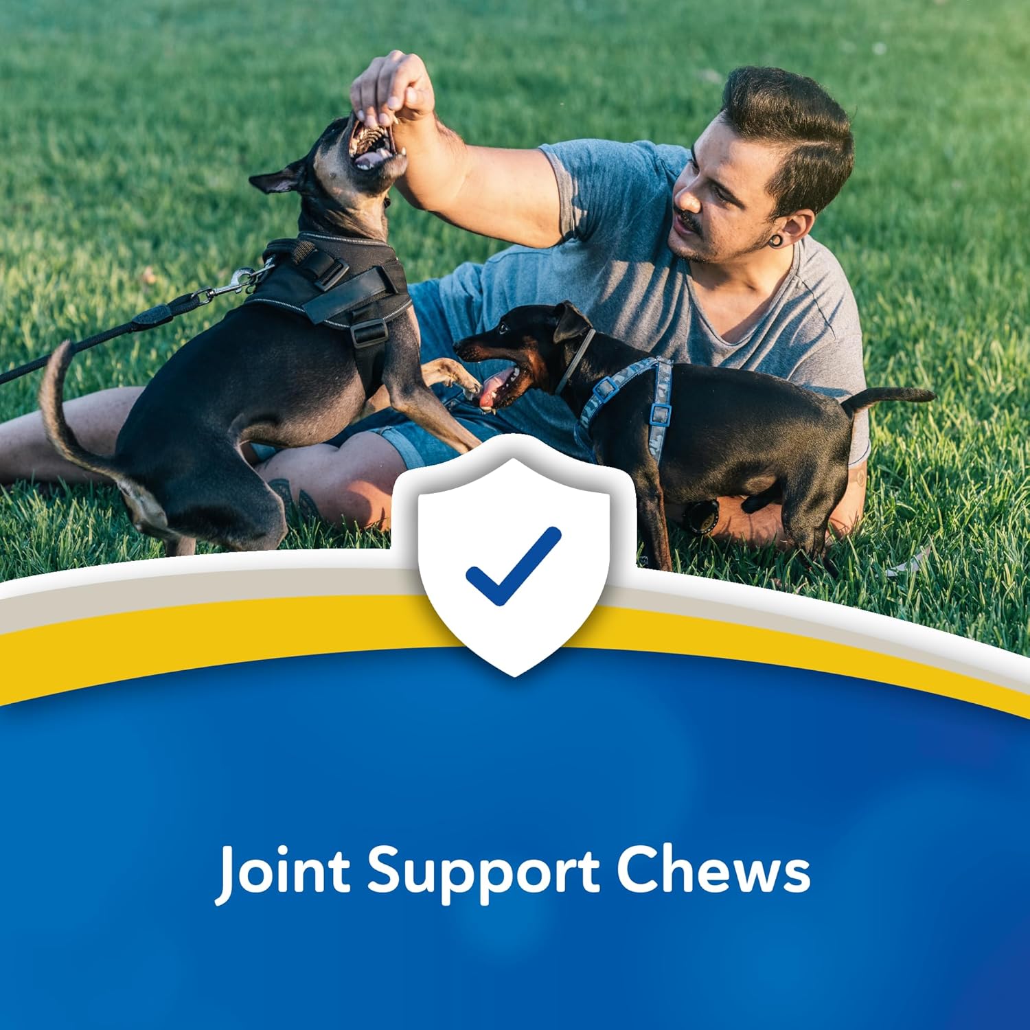 Doc Roy's Aches Away for Dogs, Joint and Hip Support Supplement, with Glucosamine, MSM, Perna, Antioxidants, Helps Maintain Mobility and Flexibility, Roast Beef and Liver Flavor Chews, 90 ct