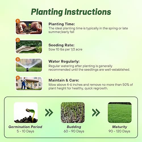 Miniatura 4 de Outsidepride Southern Sweet Spot Seed - Semillas anuales, versátiles, de rápido crecimiento y tolerantes a la sequía, semillas de parcela de