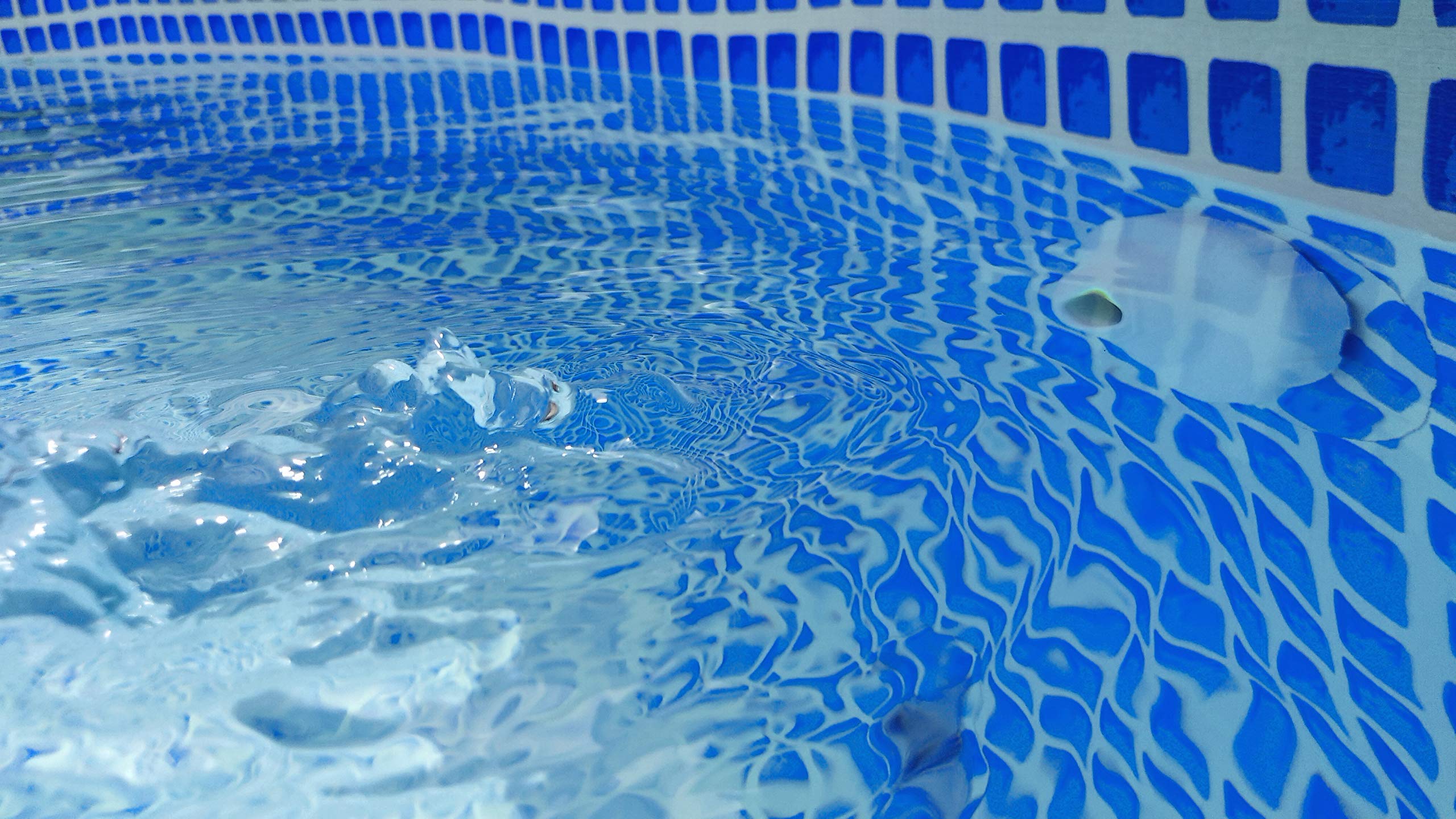 Buse Refoulement Orientable Intex Piscine – Jet Réglable 32 Mm – Impression 3D Robuste