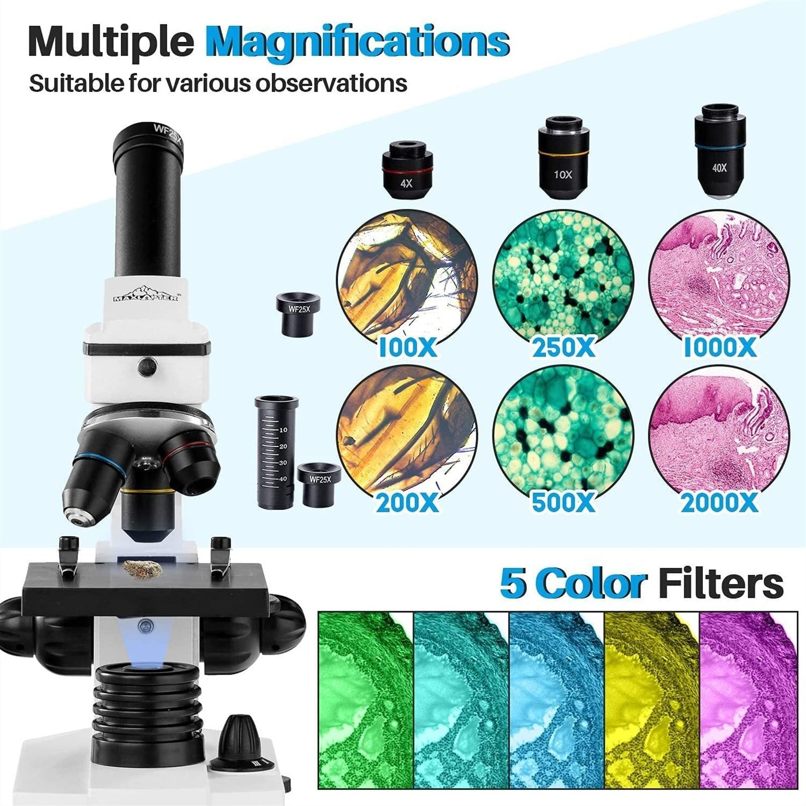 Microscopio 100-2000x biologico educativo microscopi for adulti bambini Lab Compound monoculare Microscopio con Vetrini Preparati Kit Software di misurazione professionale
