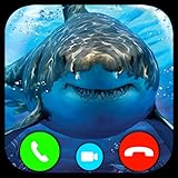 Shark - Prank Call