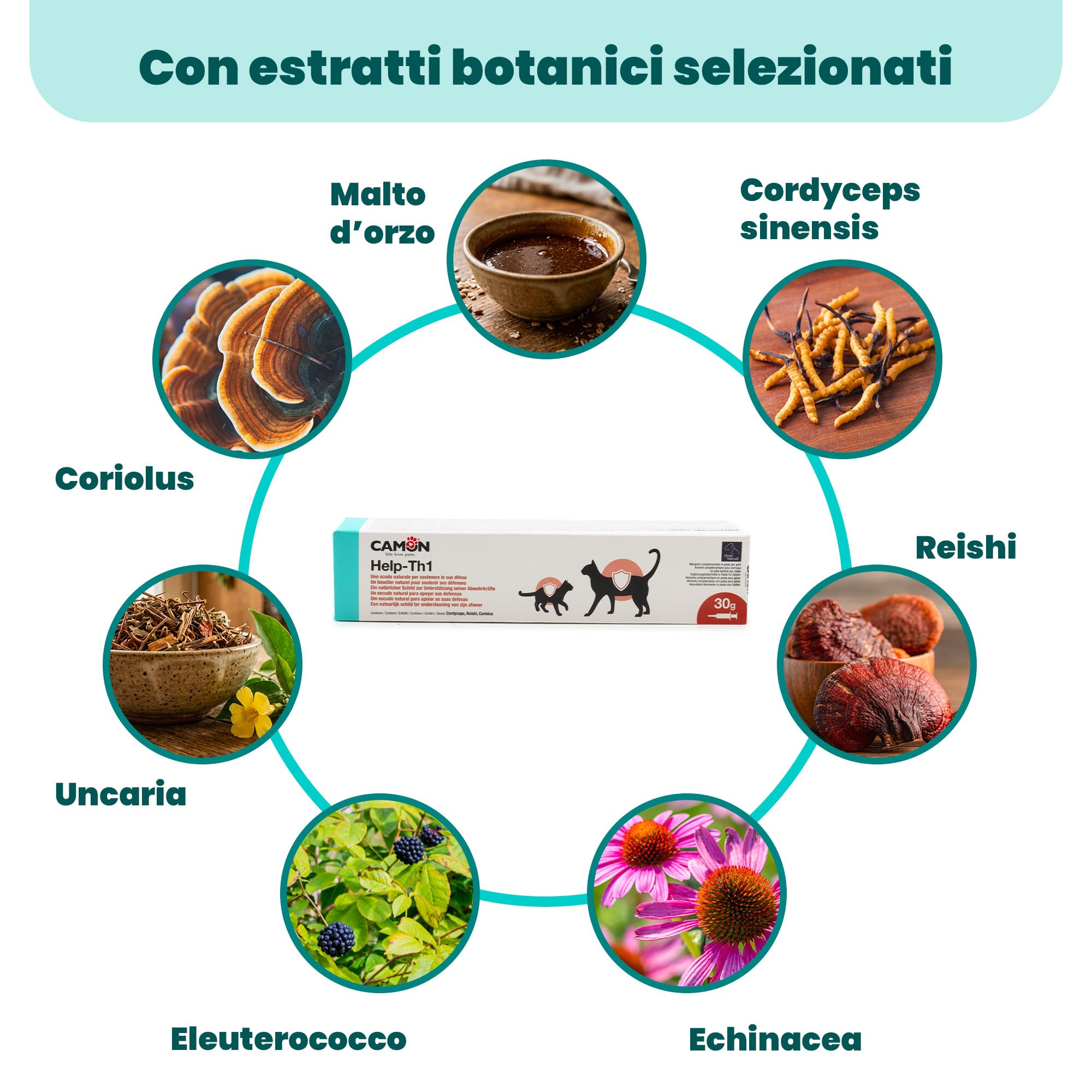 CAMON | HELP-TH1 Pasta in Siringa, Alimento Complementare per Sostenere le Difese Immunitarie di Gatti, 30g