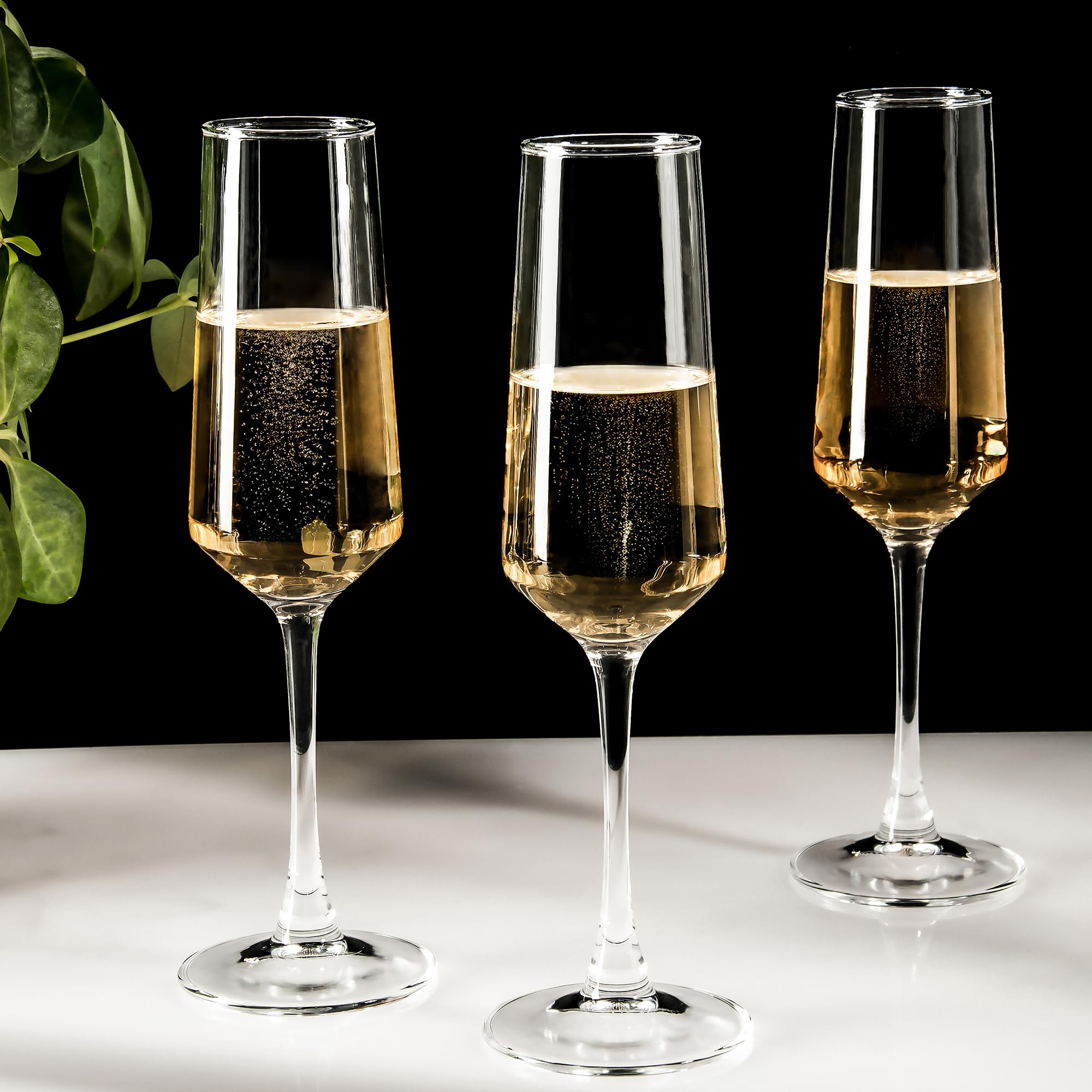 Elegant Champagne Glasses - Set of 12 -4 Elegant Champagne Glasses - Set of 12 -4