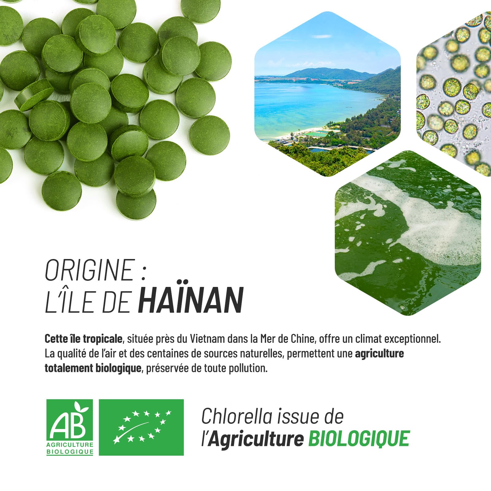 Chlorella BIO | 6000 mg/jour | Antioxydant, Vitalité | Sans Additif | 500 Comprimés | GPH Diffusion