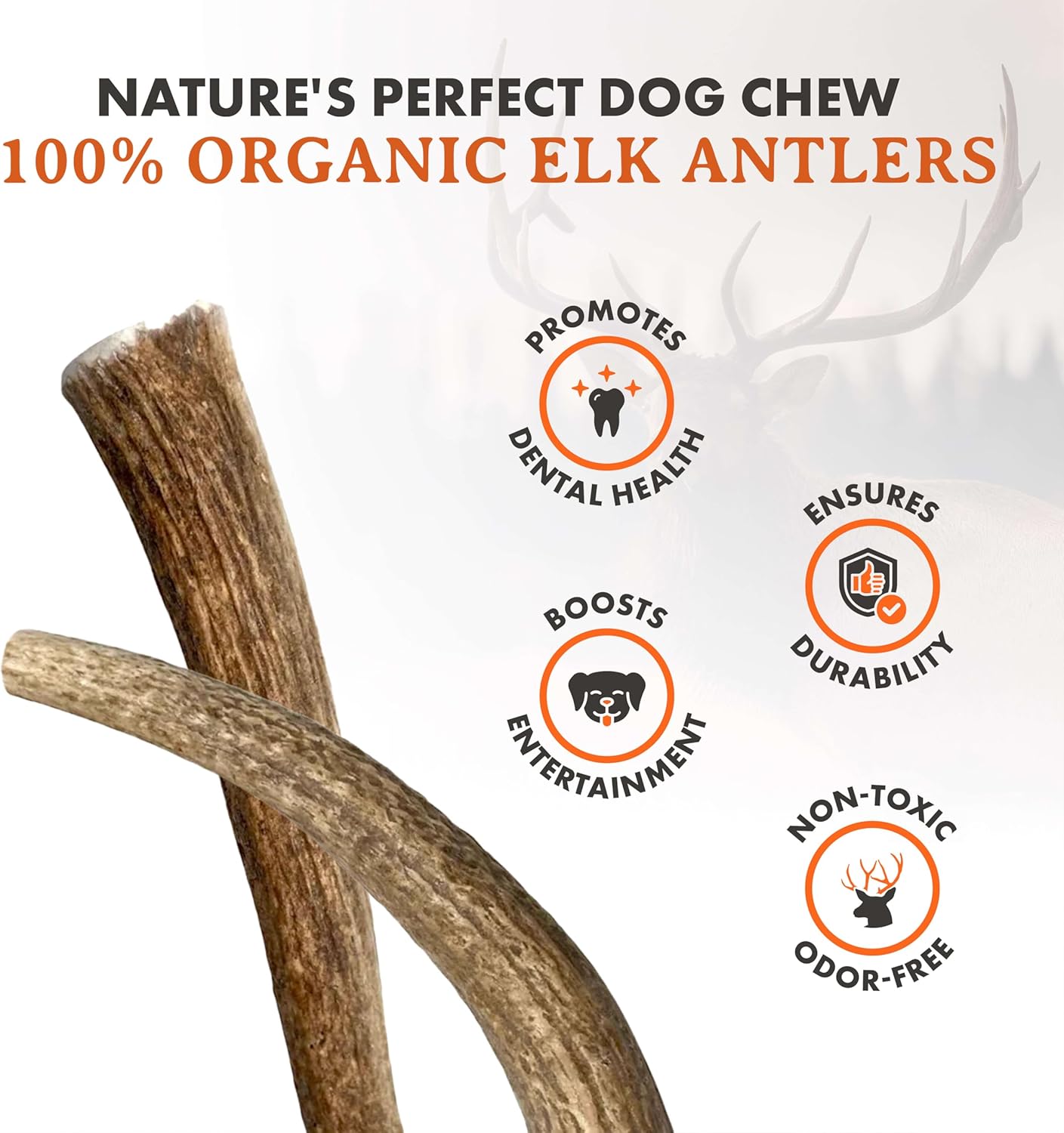 Alpha Dog Nutrition Elk Antler Chews (Large, Whole)