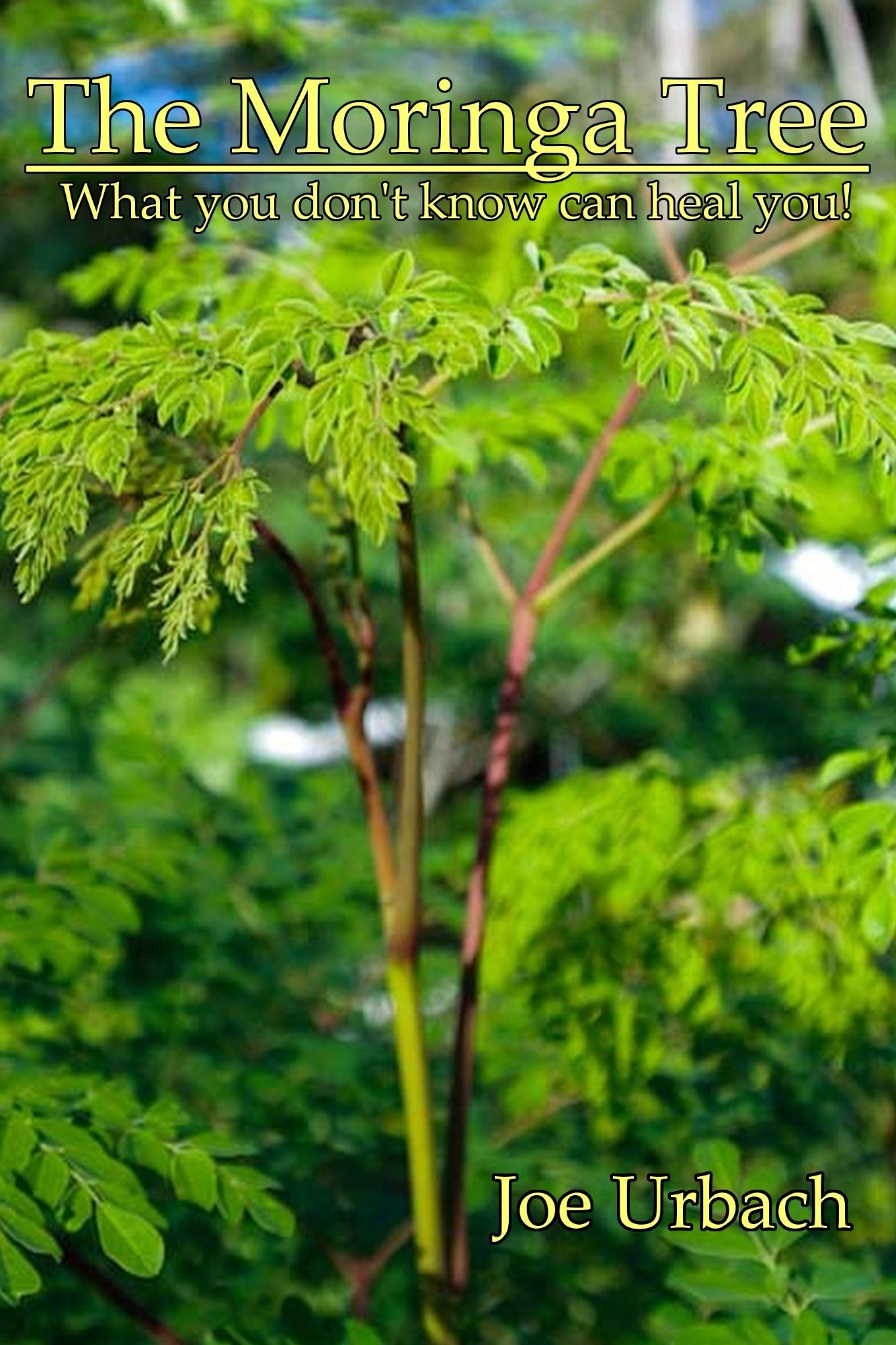 The Moringa Tree: What you don't know can HEAL you!