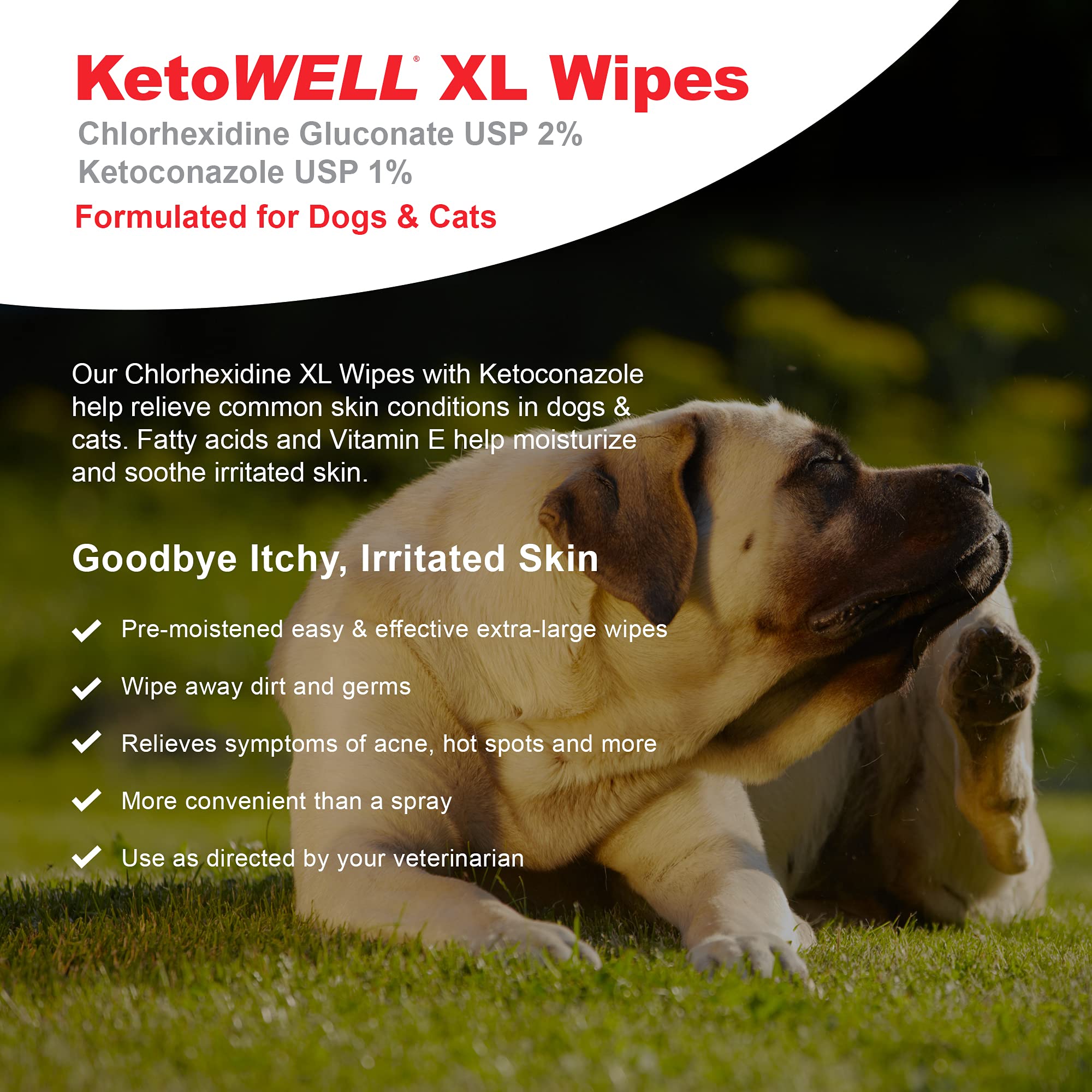 Buy VetWELL Chlorhexidine Wipes for Dogs Medicated Wipes for Dogs