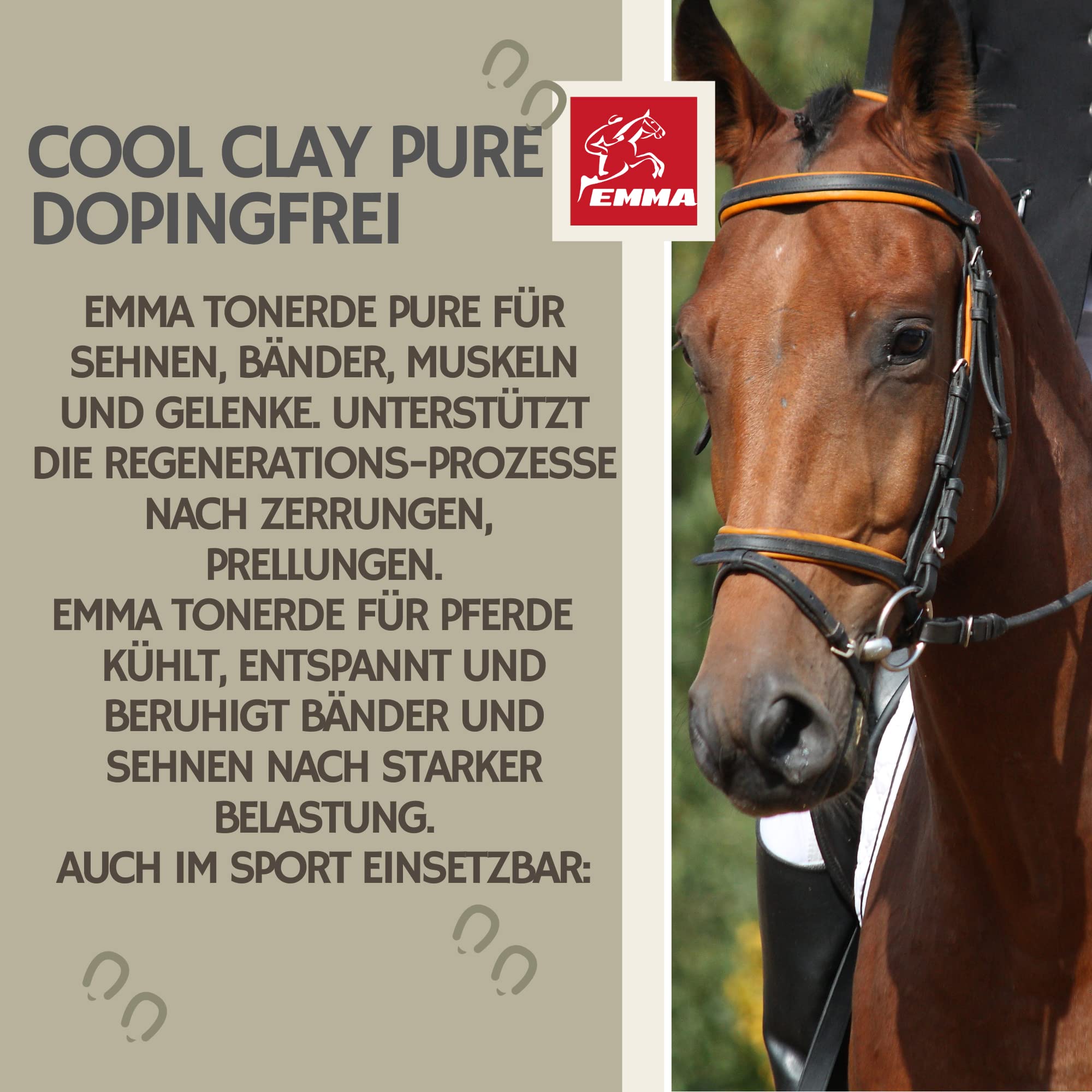 Emma Argile pour Chevaux à l’Arnica 2x1,5 kg Cataplasme Refroidissant Jambes & Tendons | Soin Naturel Muscles & Articulations | Pâte d’Argile pour Chevaux Contre Gonflements & Jambes Engorgées