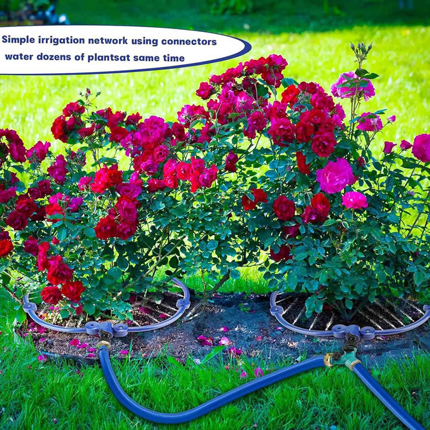 Hlsicnalm(ヘルシンキ) 4X 360&deg; ツリー ウォーター システム ツリー ルート ウォーター ツール、リング サークル