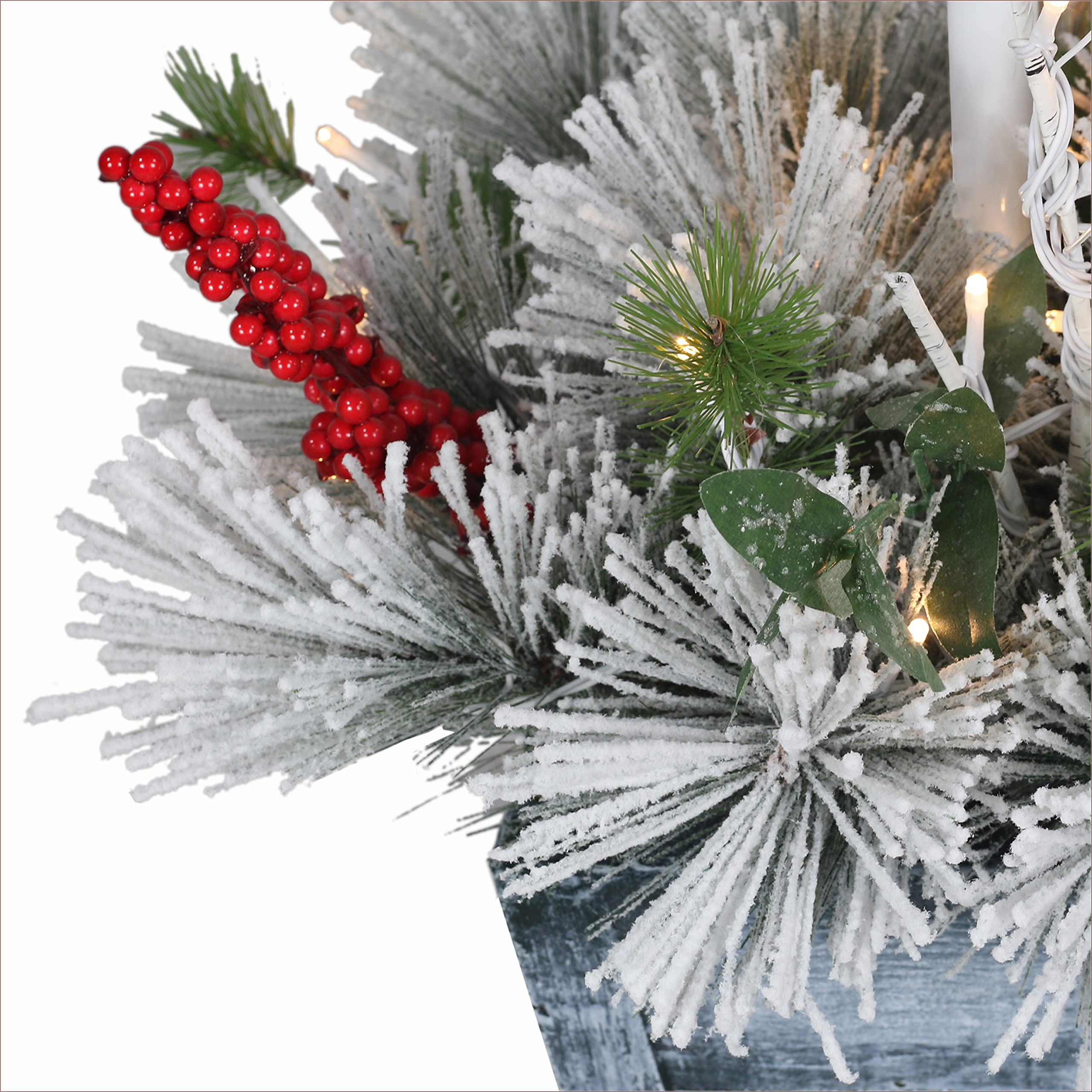 Puleo International Inc. Puleo International 50 Warm White LED Lights