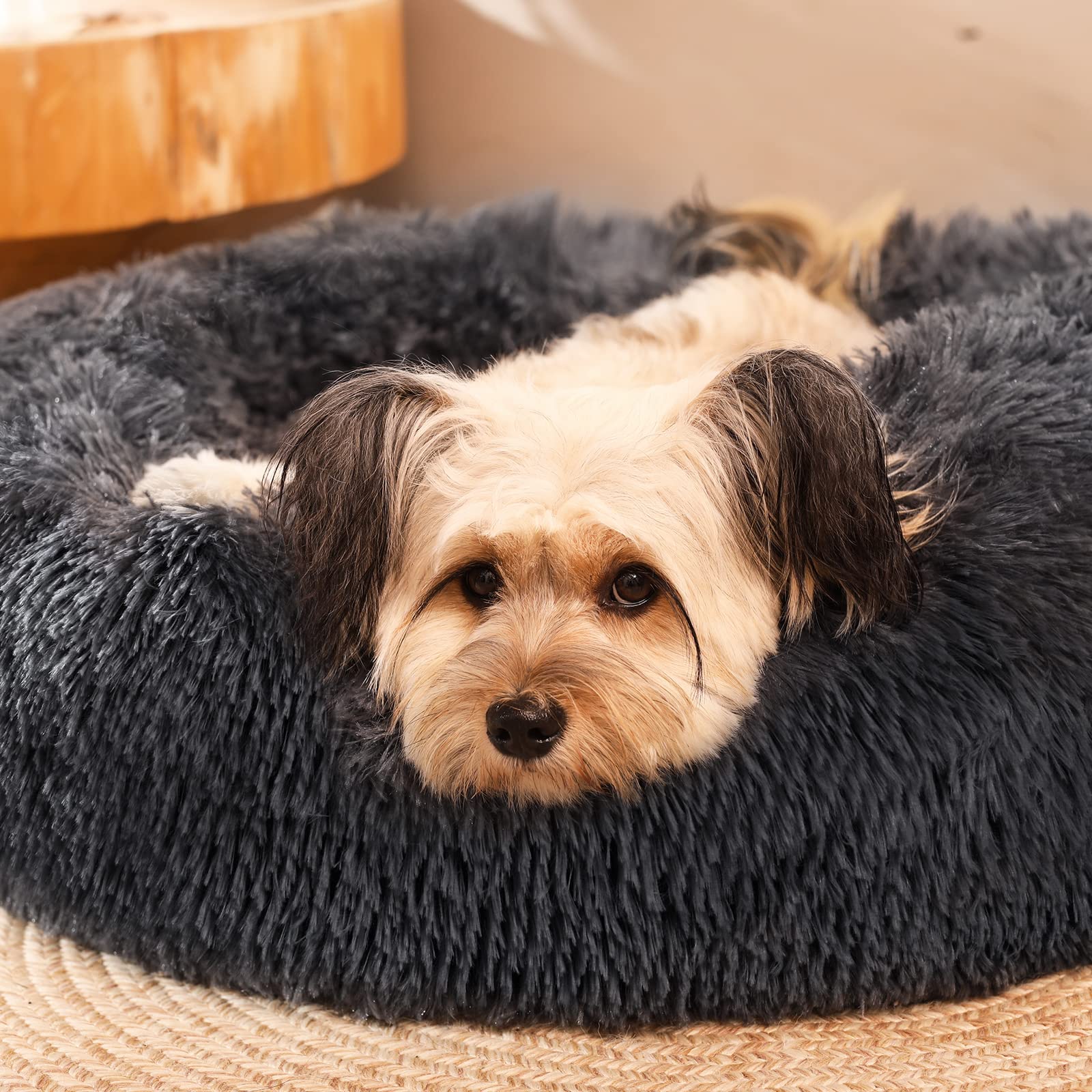 tadazhi タダシ ポエスパスベッド ラウンドベッド 犬 ベッド