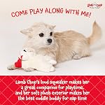 MULTIPET MU48371 International 843140 Lambchop Plush Squeak Toy Mini for Pets, 6-Inch, White