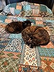 Review Image by Jacqueline C Gallo