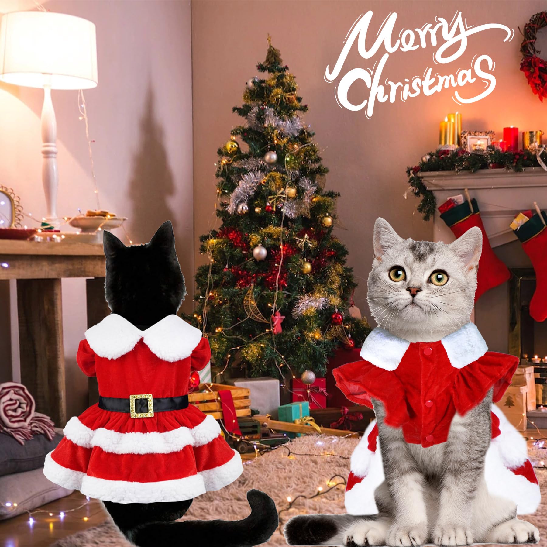 GOYOSWA Cat Kitten Christmas Outfit Cat Christmas Dress Clothes Red Cat  Santa Costume Dog Holiday Outfit Christmas Dresses for Kittens Cats Puppy (Christmas  Dress, Small) : Amazon.sg: Pet Supplies